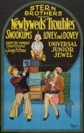 Movies The Newlyweds' Troubles poster