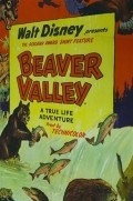Movies Beaver Valley poster
