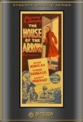 Movies The House of the Arrow poster
