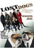 Movies Lost Dogs poster