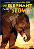 Movies An Elephant Called Slowly poster