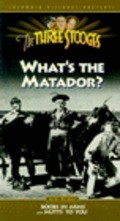 Movies What's the Matador? poster