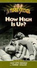 Movies How High Is Up? poster