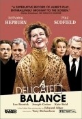 Movies A Delicate Balance poster