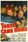 Movies Three Came Home poster