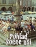 Movies Pohlad kocce usi poster