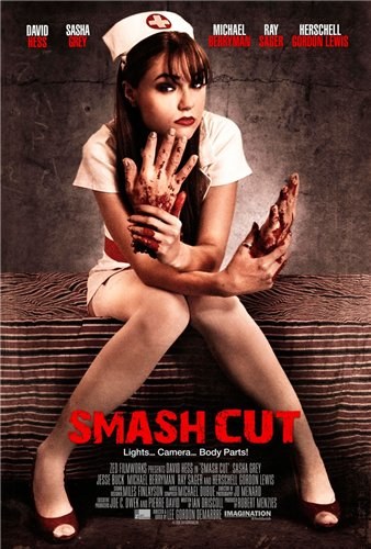 Smash Cut is similar to Aramotaskaup 1994.