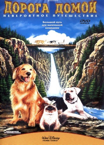 Homeward Bound: The Incredible Journey is similar to America the Beautiful 2: The Thin Commandments.