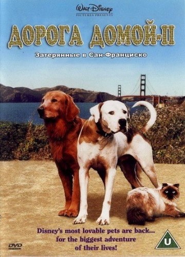 Movies Homeward Bound II: Lost in San Francisco poster