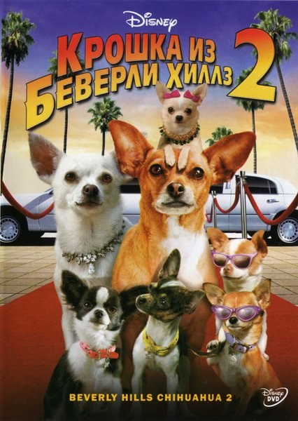 Beverly Hills Chihuahua 2 is similar to CZW: Best of the Best 7.