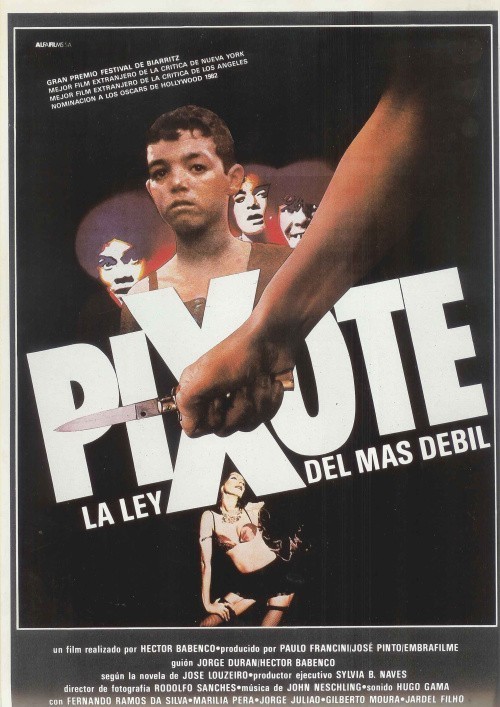 Pixote: A Lei do Mais Fraco is similar to Passeio com Johnny Guitar.