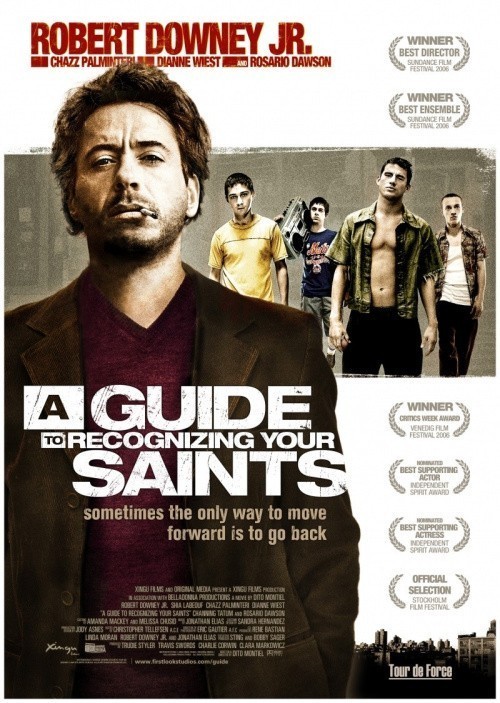 A Guide to Recognizing Your Saints is similar to Down & Dirty 2.