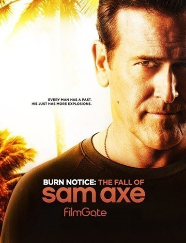 Burn Notice: The Fall of Sam Axe is similar to A Stranger in the Mirror.