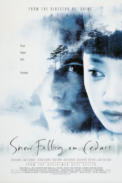 Snow Falling on Cedars is similar to Chloe, Love Is Calling You.