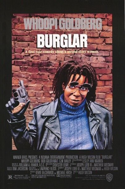 Burglar is similar to Stormchasers.