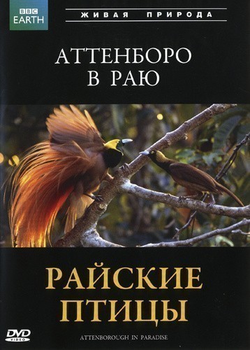 Attenborough in Paradise is similar to The Work and the Story.