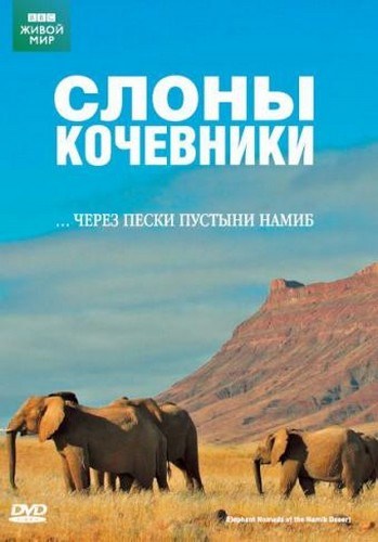 Movies Elephant Nomads of the Namib Desert poster
