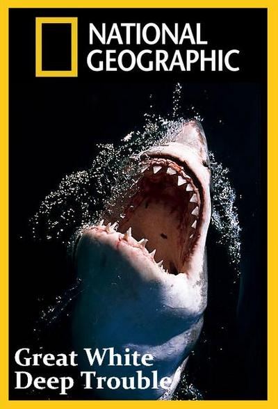 Great White. Deep Trouble is similar to A Double-barreled Courtship.
