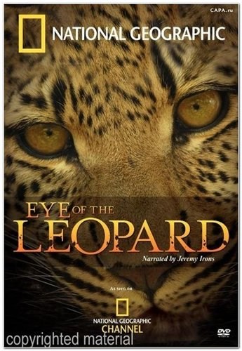 Eye of the Leopard is similar to Maquillando entre monstruos.