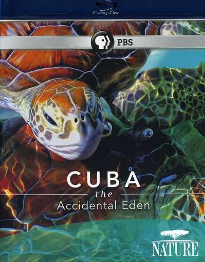 Cuba. The Accidental Eden is similar to Becoming Icizzle.