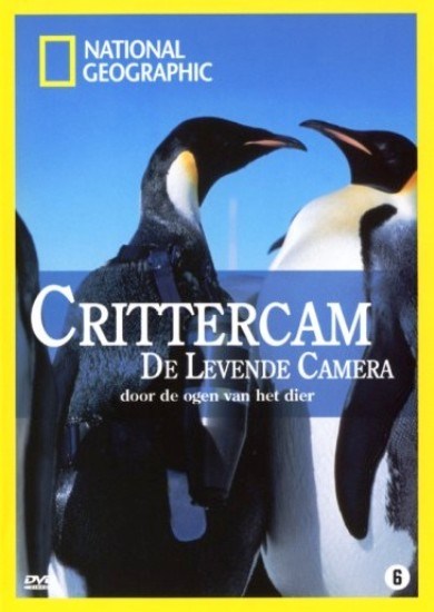 Crittercam is similar to Following the Scent.