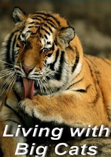 Living with Big Cats is similar to Sueros y caballos.
