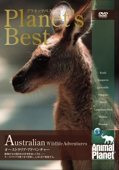 Animal Planet: Australian Wildlife Encounters is similar to Tayna zolotoy goryi.
