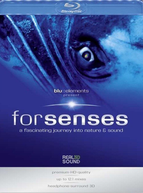 Blu::elements - Forsenses is similar to Lost Heroes.