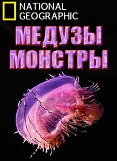 Monster Jellyfish is similar to In the Valley of Elah.