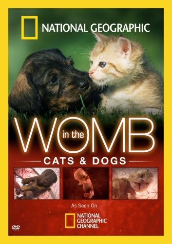 In the womb Cats is similar to Home Sweet Hell.