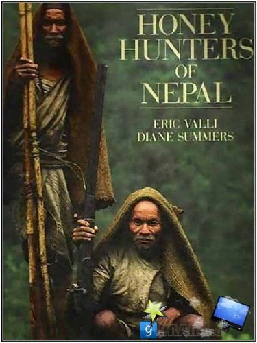 Honey Hunters of Nepal is similar to Ara.