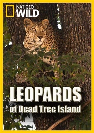 Leopards of Dead Tree Island is similar to Meet Simon Cherry.