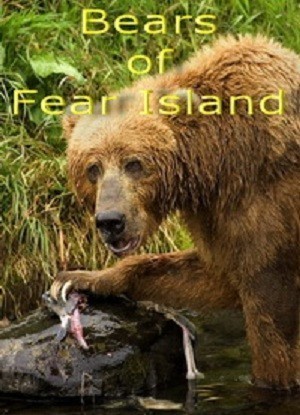 Movies Bears of Fear Island poster