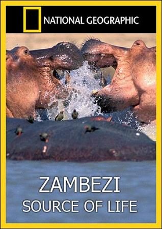 Movies National Geographic: Zambezi: Source of Life poster