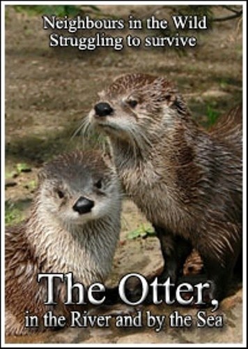 Neighbours in the Wild. Struggling to survive. The Otter, in the River and by the Sea is similar to Okaasan.