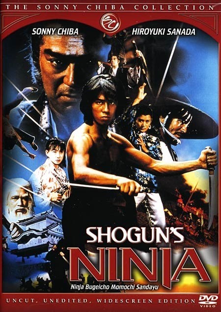 Movies Ninja bugeicho momochi sandayu poster