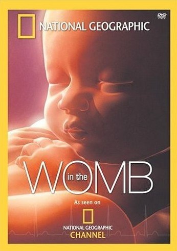 In the womb is similar to Spirit Camp.