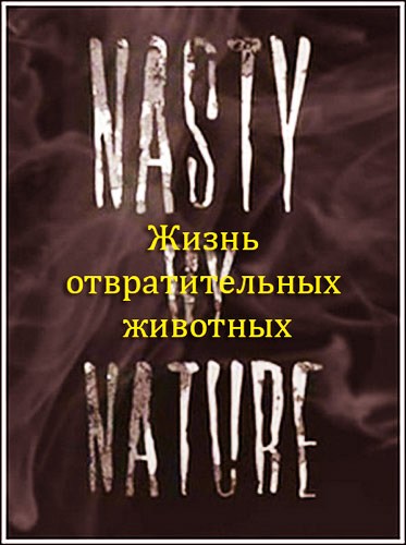 Nasty by Nature is similar to The Witches of Oz.
