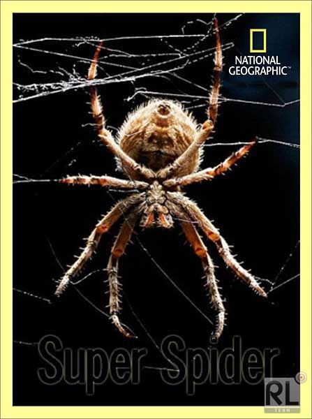 Super Spider is similar to National Geographic: The Invisible World.