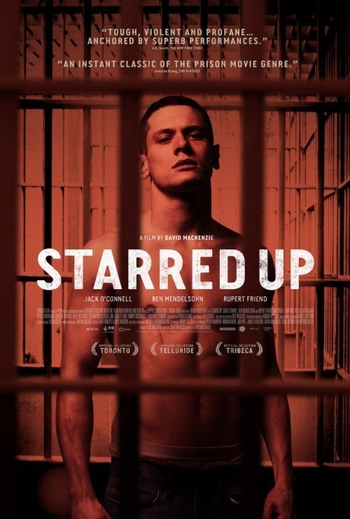 Starred Up is similar to An American Journalist.