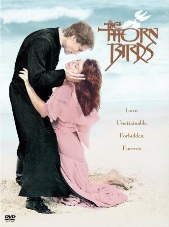The Thorn Birds: The Missing Years is similar to Pyil pod solntsem.