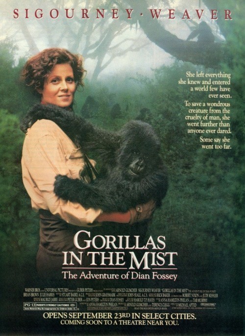 Gorillas in the Mist: The Story of Dian Fossey is similar to Ng goh haak gwai dik siu nin.