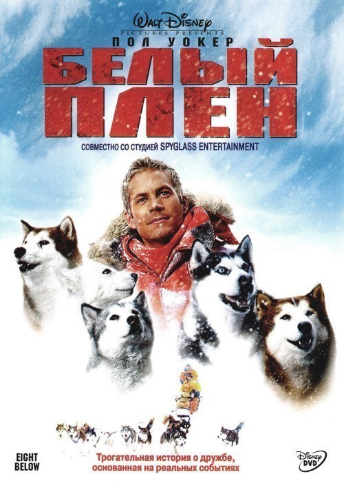 Eight Below is similar to Entre dos mares.