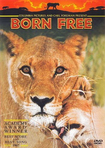 Born Free is similar to Getting It On.