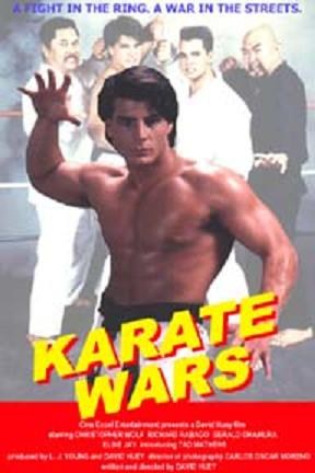 Karate Wars is similar to The Pretender.