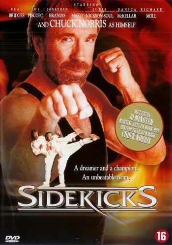 Sidekicks is similar to Two Dicks for Every Chick 2.