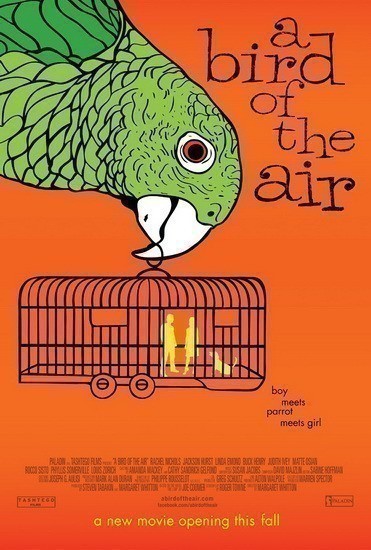 A Bird of the Air is similar to Aviso de bomba.