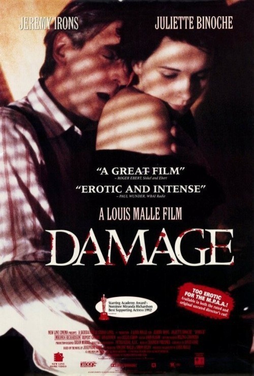 Damage is similar to Il dolce corpo di Deborah.