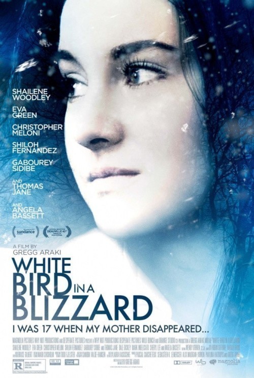 White Bird in a Blizzard is similar to La cabalgata del circo.