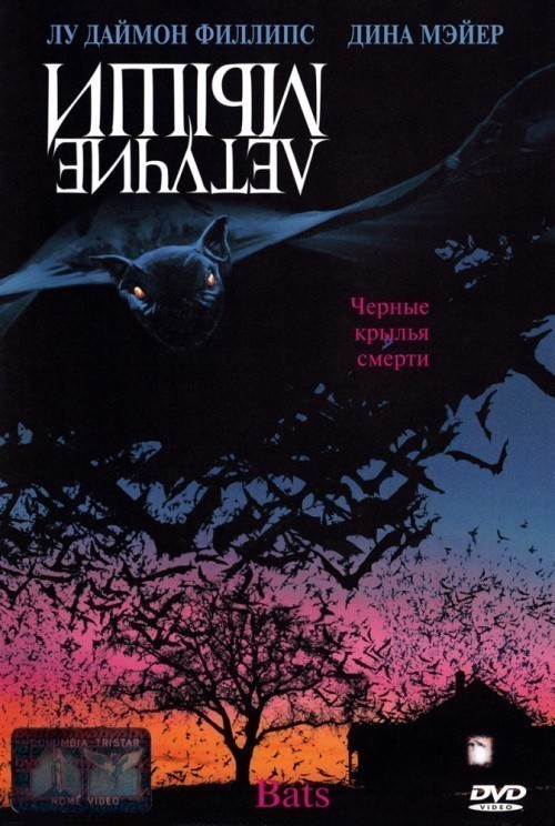 Bats is similar to Amanda by Night.